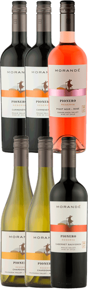 Top lækker smagekasse - Chilevine fra Vinhuset MORANDE Reserva - 6 Flasker - Spar 45 % - Slagelse Vinkompagni