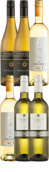 Hvidvins smagekasse - Coral Coast / La Luna / Ferret - Slagelse Vinkompagni